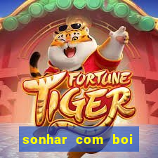 sonhar com boi jogo do bicho